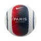 Nike Μπάλα ποδοσφαίρου Paris Saint-Germain Academy
